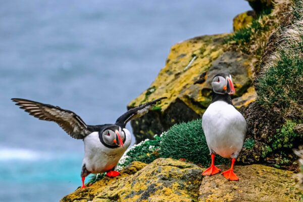 ISLANDA: QUANDO ANDARE