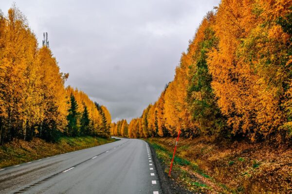 Svezia in Autunno
