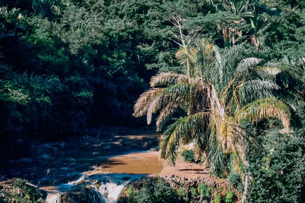 MAURITIUS CASCATA