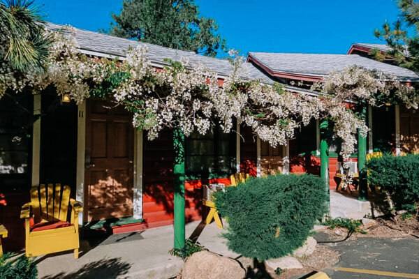 Idyllwild Bunkhouse