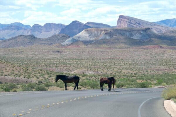 Valley of Fire