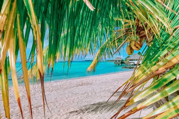 Dove Dormire a Tikehau