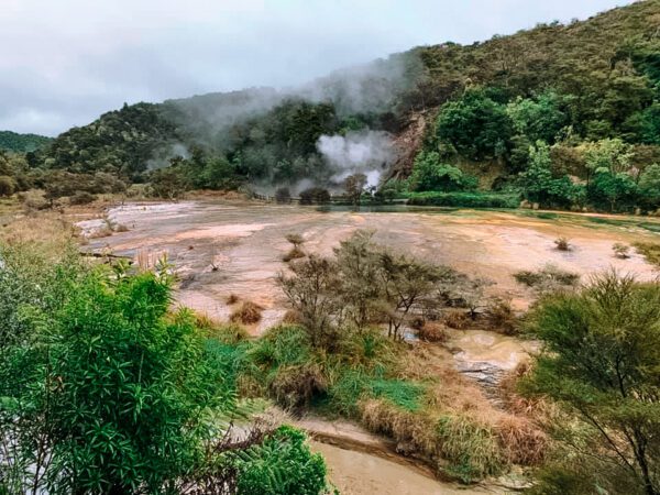 Waimangu Volcanic Valley