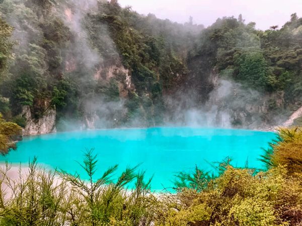 Waimangu Volcanic Valley