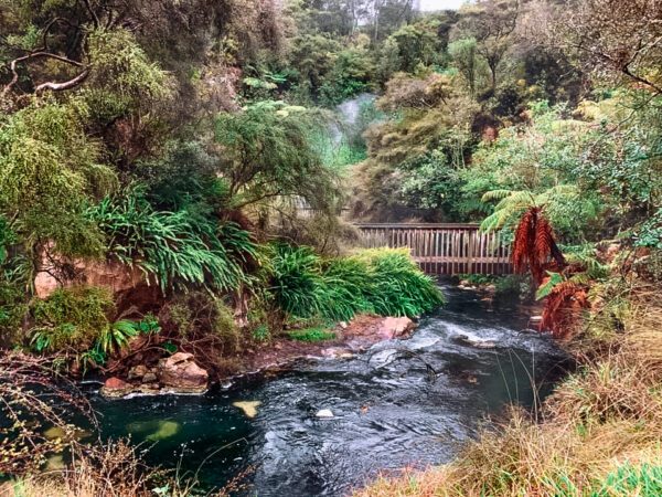Waimangu Volcanic Valley