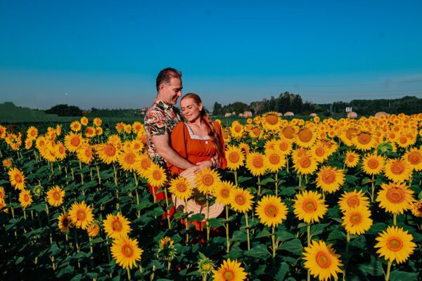 CAMPO DI GIRASOLI: VENETO