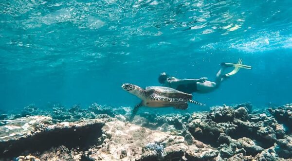 5 COSE DA FARE ALLE MALDIVE