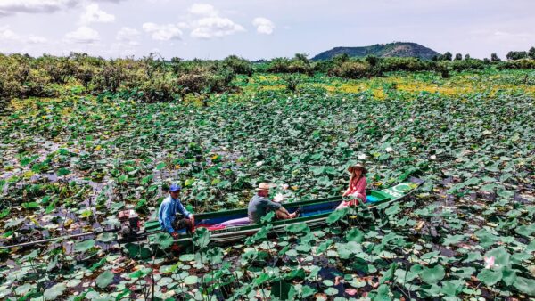 Lotus Farm a Siem Reap