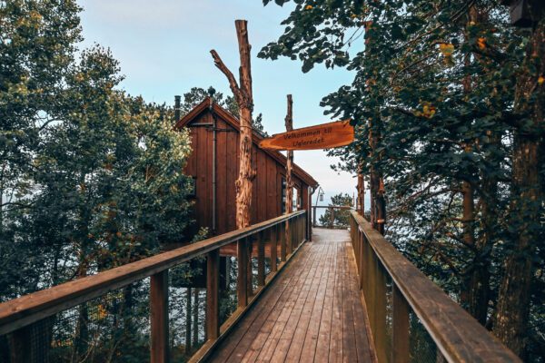 Treetops Hotel