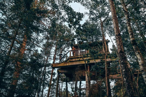 Treetops Hotel