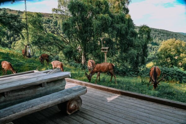 Alloggio da Sogno in Scozia