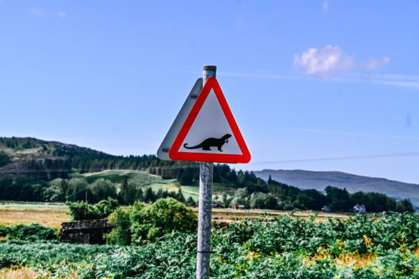 isle of mull