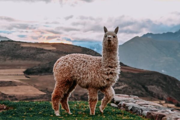 Dove dormire nella Valle Sacra