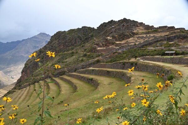 Boleto Turístico Cusco