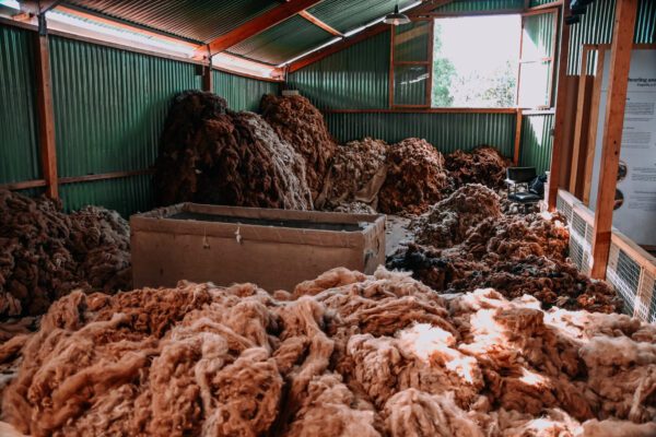 Arequipa in 2 giorni