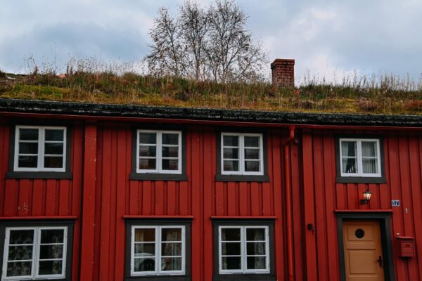 norvegia