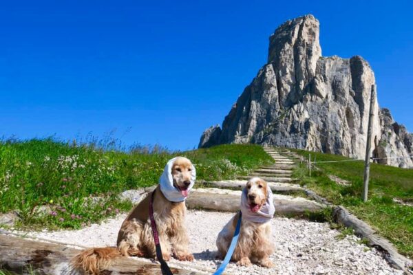 5 trekking più belli delle Dolomiti