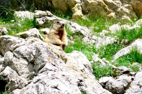 5 trekking più belli delle Dolomiti
