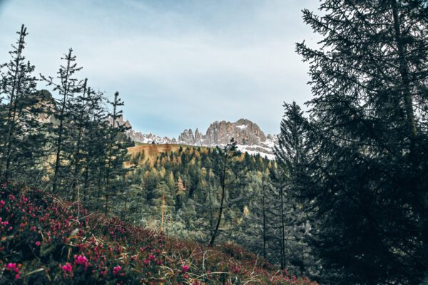 trentino