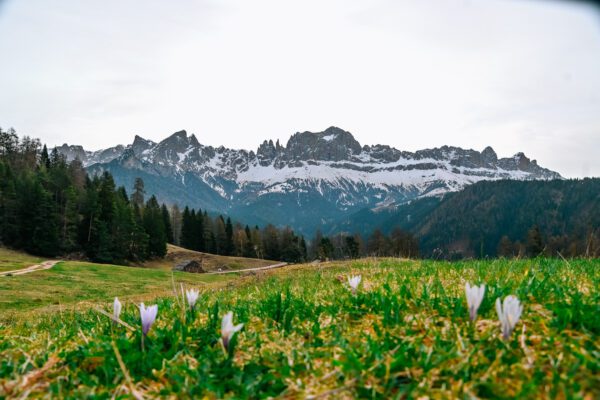 Laghetto di Wuhn