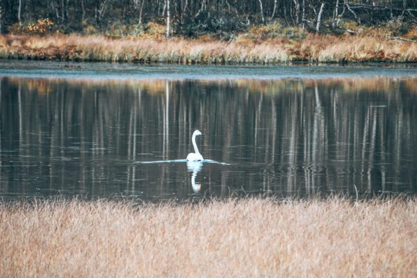 Parco Nazionale Rondane