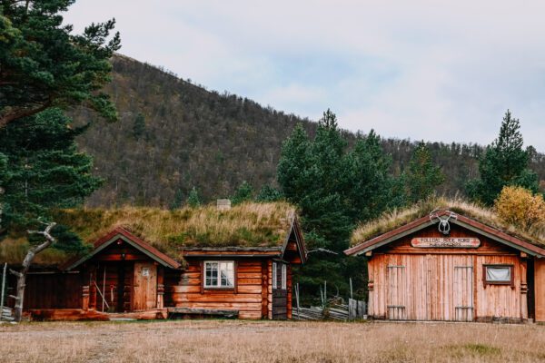 foliage in norway