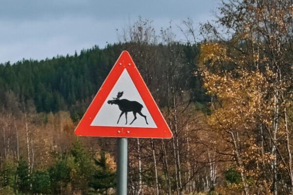 Parco Nazionale Rondane