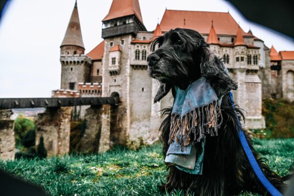 Castello dei Corvino