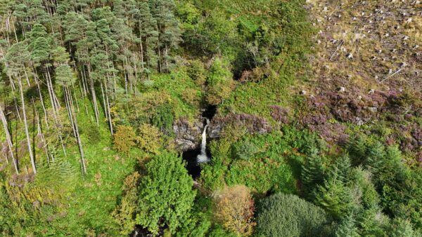 Galloway Forest Park in camper