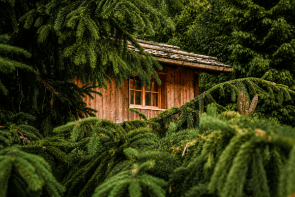 chalet trentino